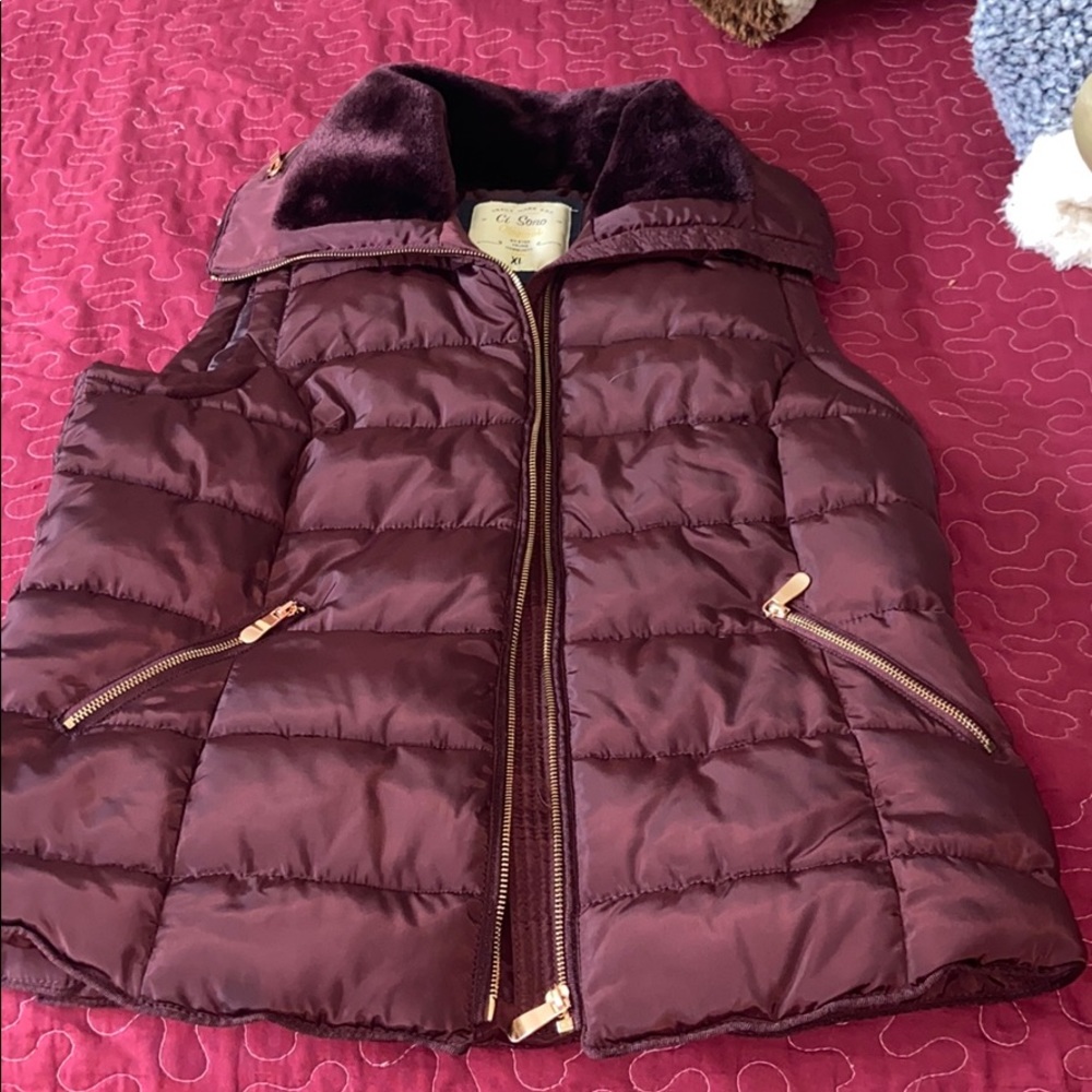 Vest